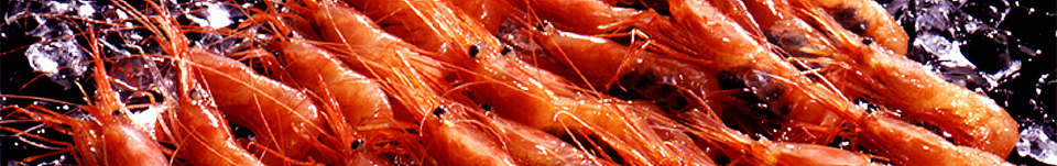 有限会社 鈴香食品