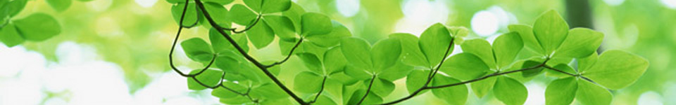 有限会社 鈴香食品