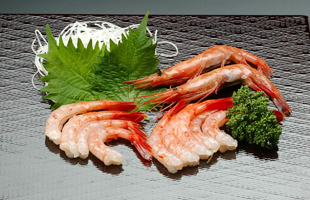 甘えび刺身昆布〆